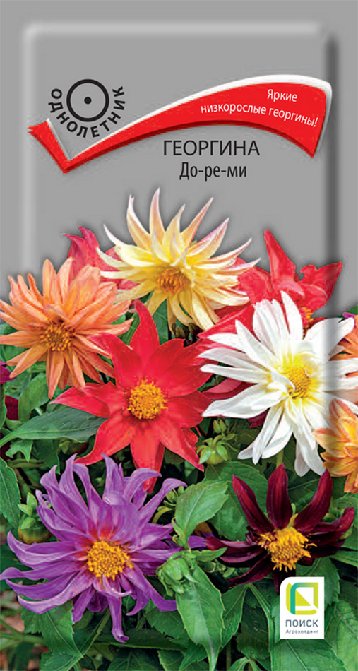 Георгина До-Ре-Ми, 0,1 г