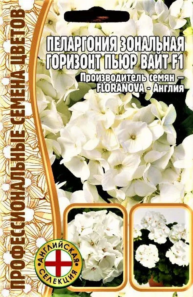Пеларгония зональная Горизонт Пьюр Вайт F1, 3 шт.