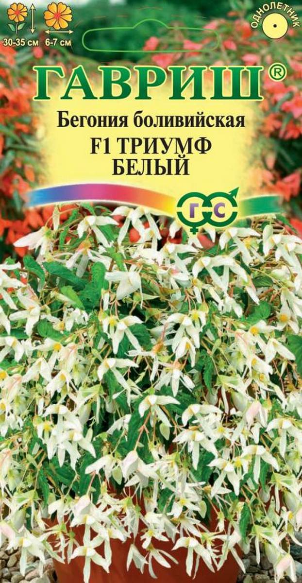 Бегония боливийская Триумф белый F1, гранулы, 5 шт. 