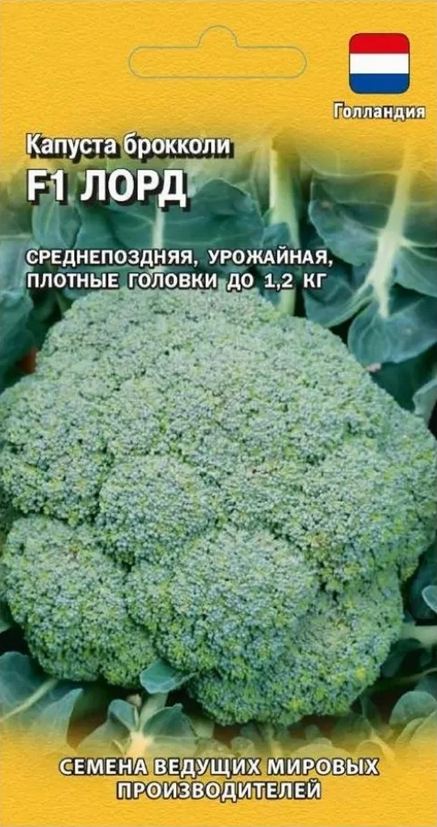 Капуста брокколи F1 Лорд, 10 шт. Голландия.