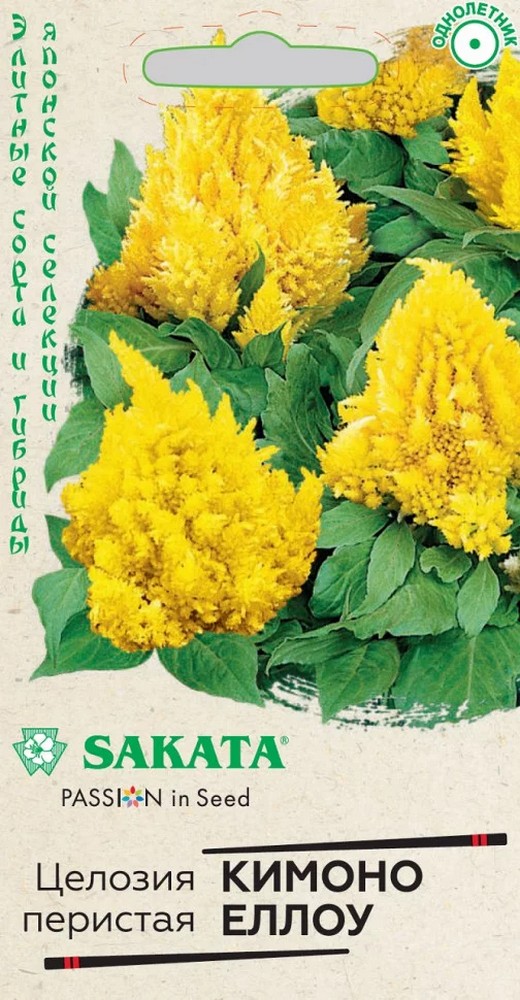 Целозия Кимоно Еллоу перистая, 8 шт. Саката.