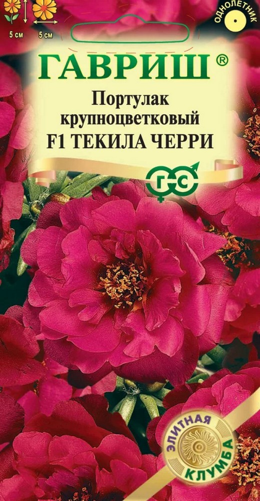 Портулак махровый Текила Черри F1, 5 шт. Элитная клумба.