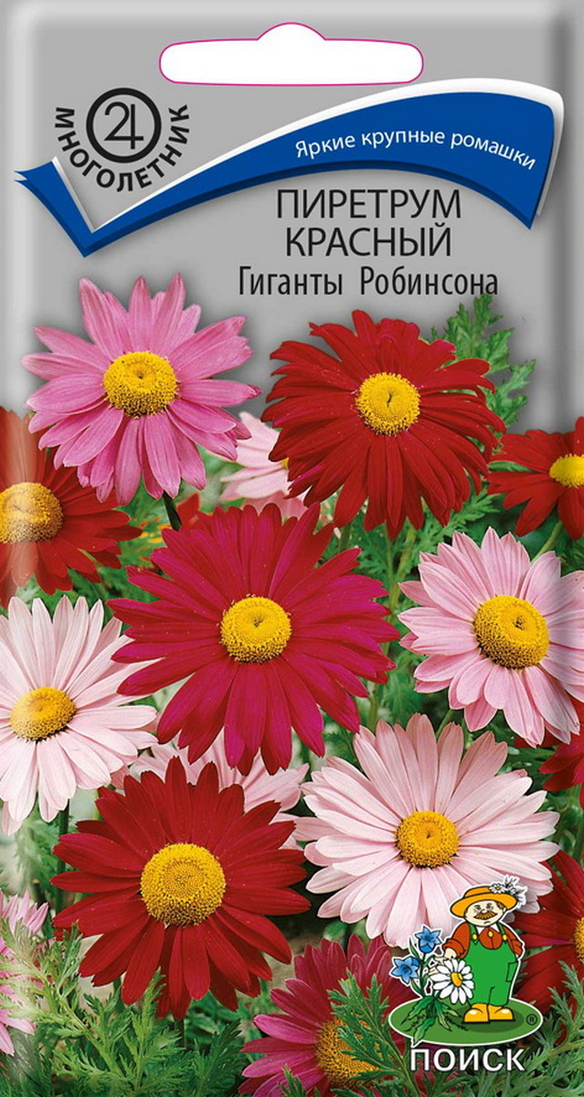 Пиретрум красный Гиганты Робинсона, 0,2 г
