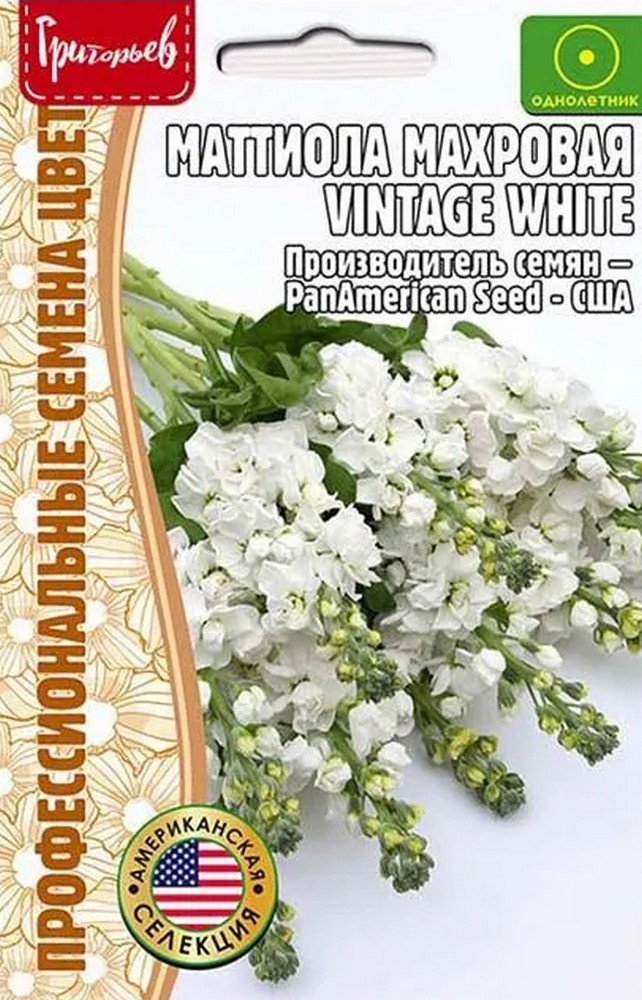 Маттиола махровая Vintage White, 5 шт.