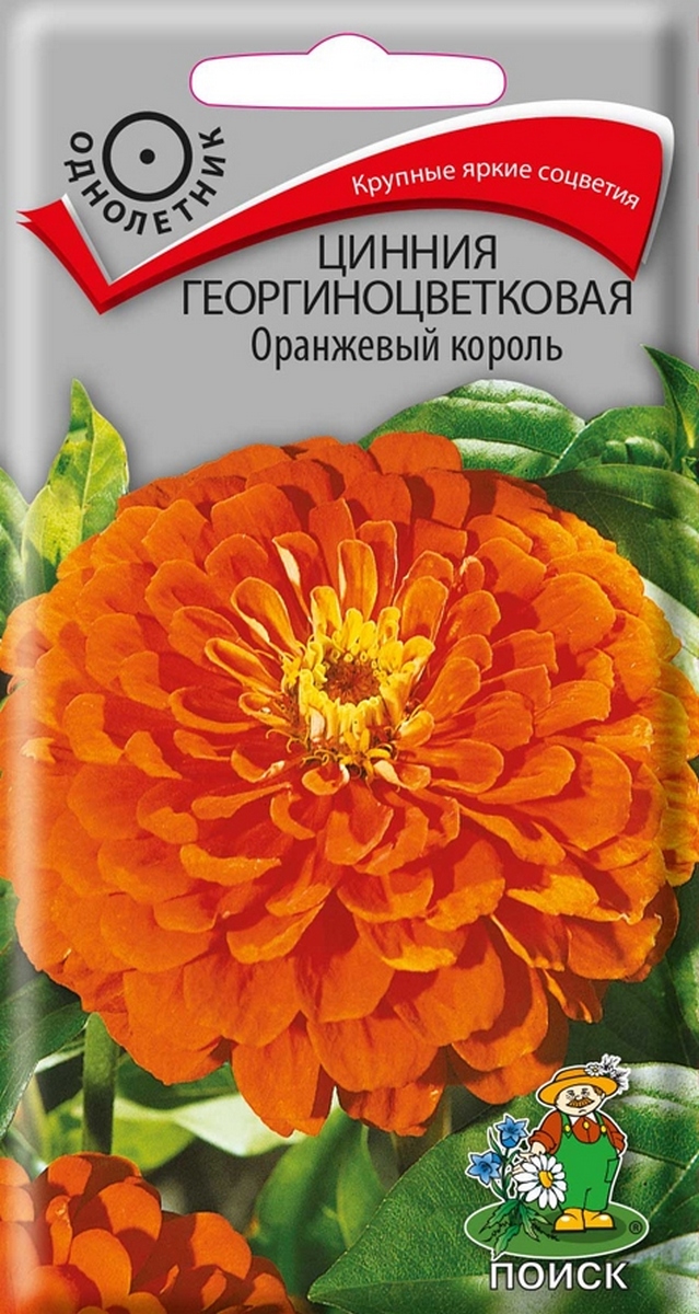 Цинния георгиноцветковая Оранжевый король, 0,4 г