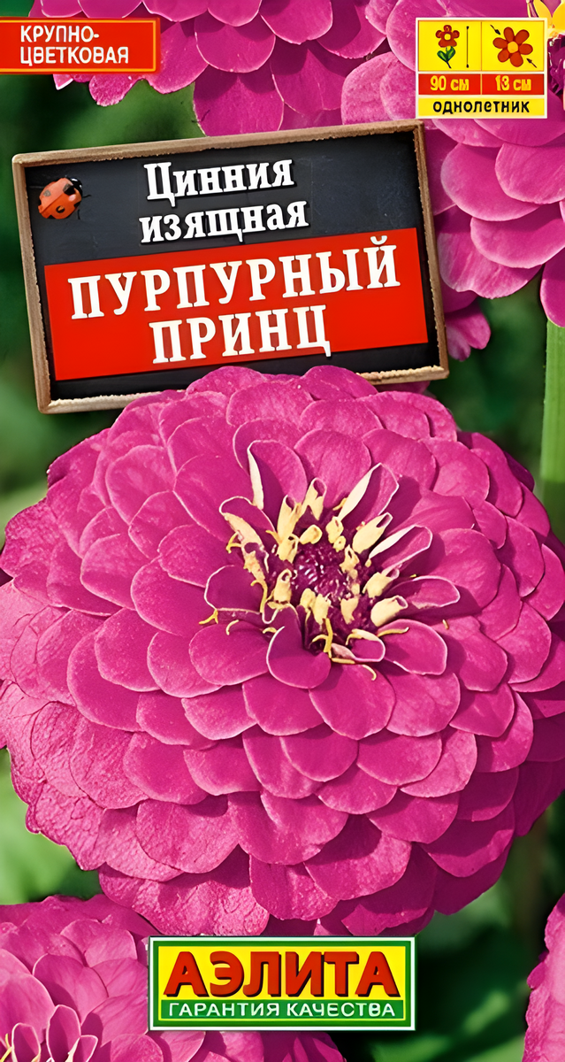 Цинния изящная Пурпурный принц, 0,3 г