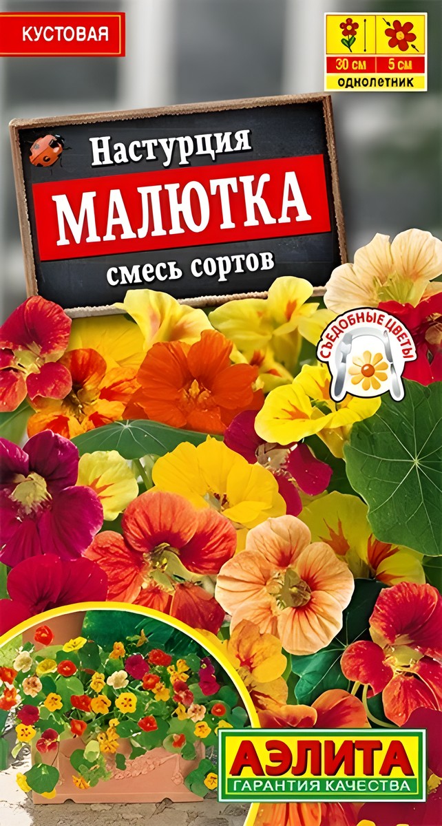 Настурция Малютка, смесь сортов, 1 г