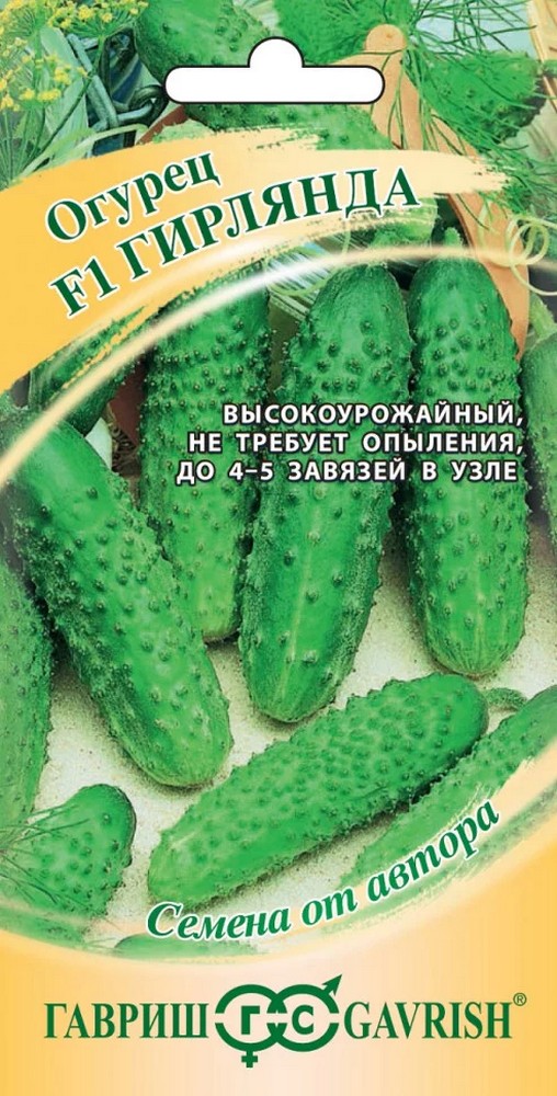 Огурец Гирлянда F1, 10 шт. Авторские семена.