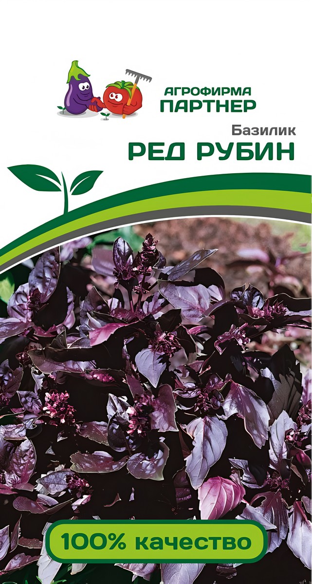 Базилик Ред рубин, 1 г. Агрофирма Партнер.