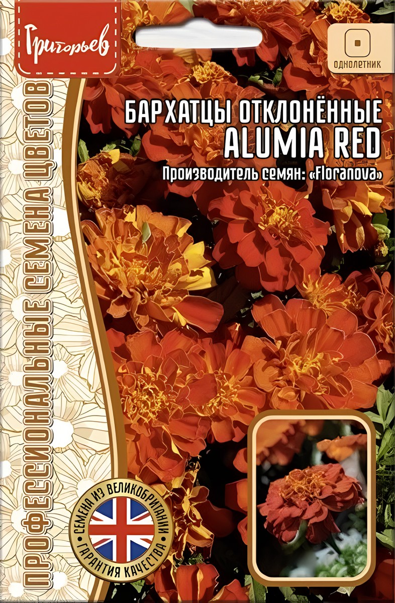 Бархатцы Alumia Red, отклоненные, 5 шт.