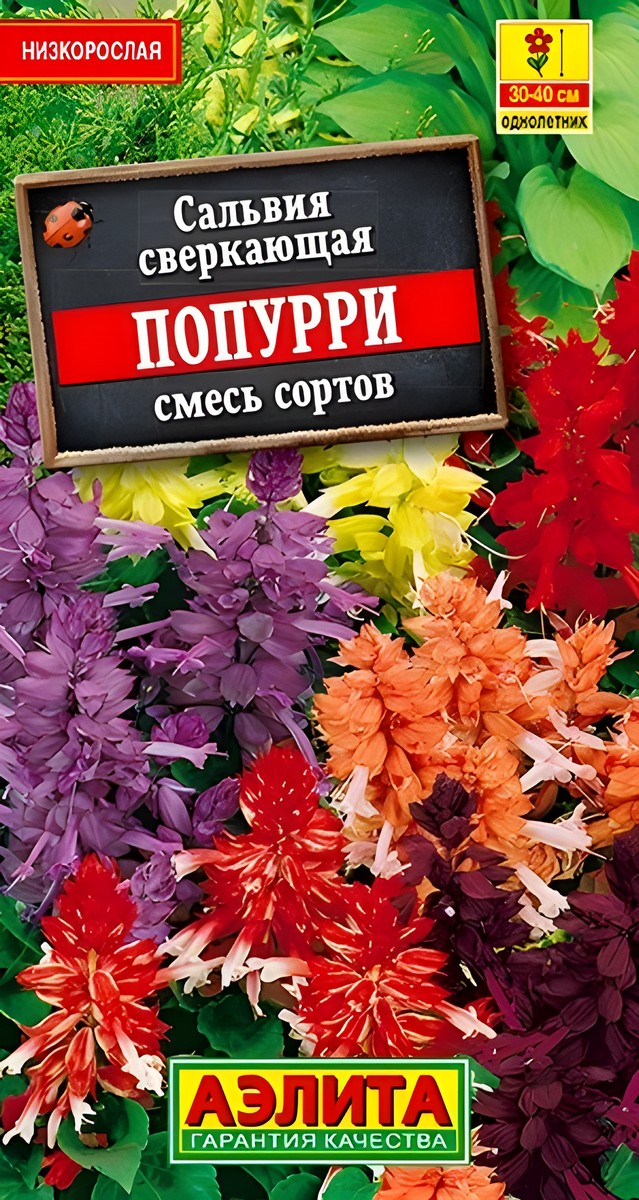 Сальвия Попурри, смесь окрасок, 0,1 г