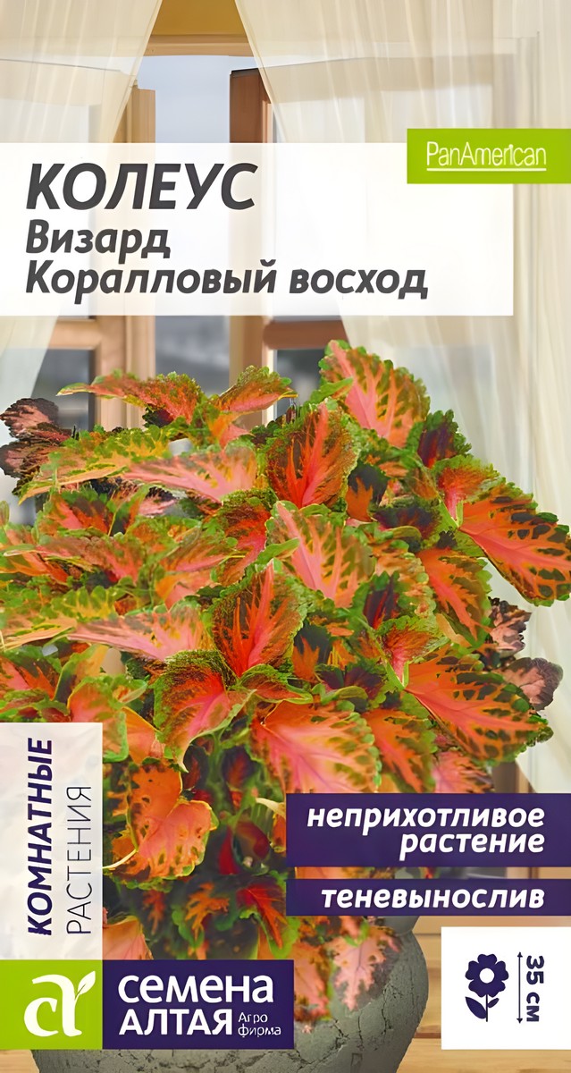 Колеус Визард Коралловый Восход 5 шт.