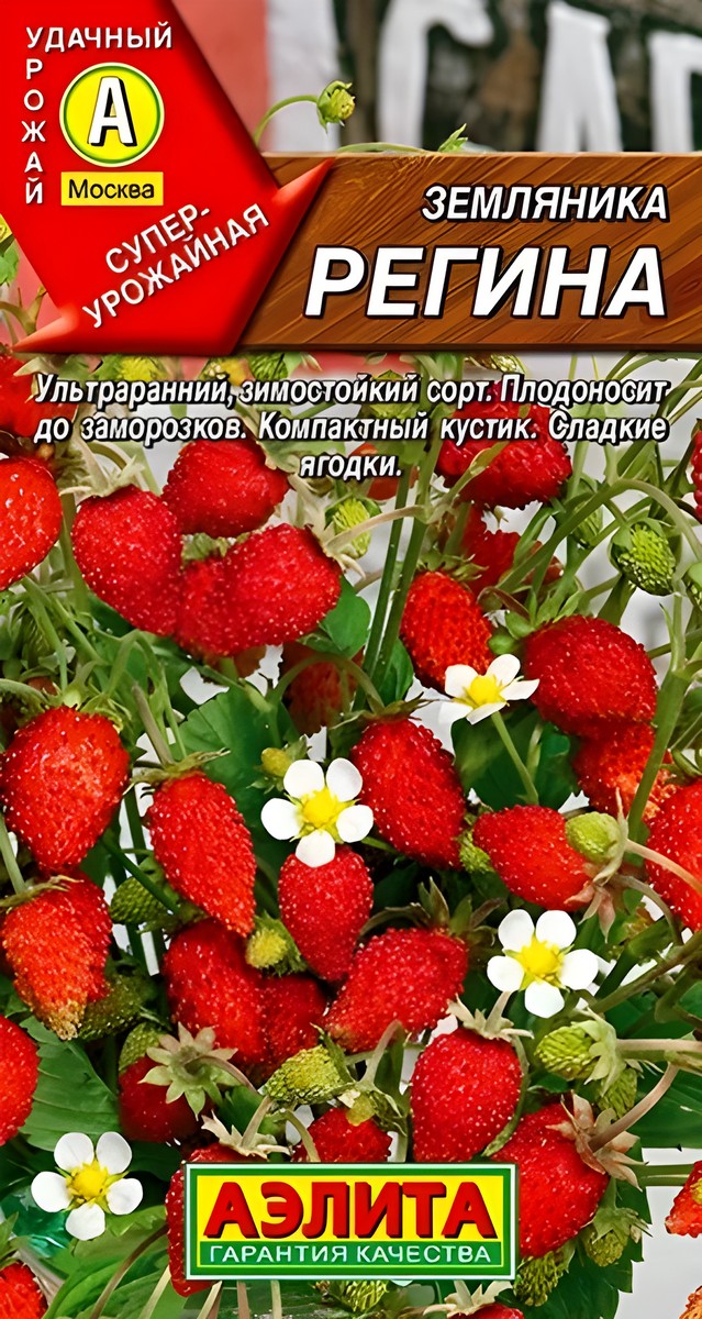 Земляника альпийская Регина, 0,04 г
