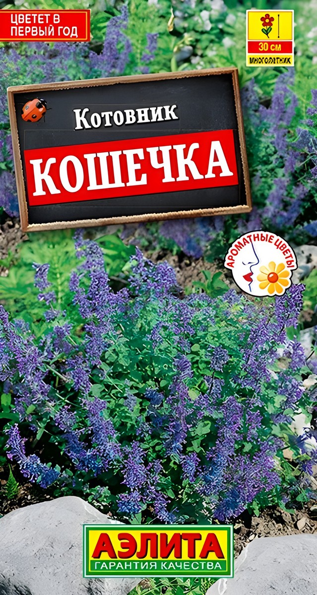 Котовник Кошечка, 0,2 г