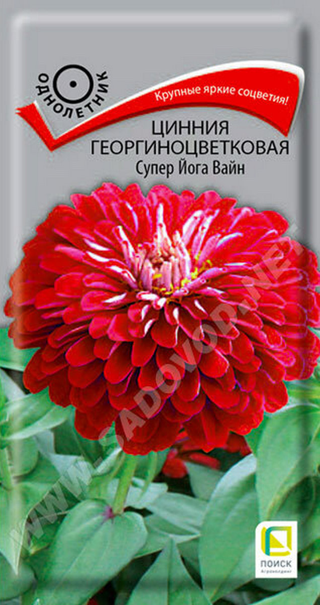 Цинния георгиноцветковая Супер Йога Вайн, 0,4 г