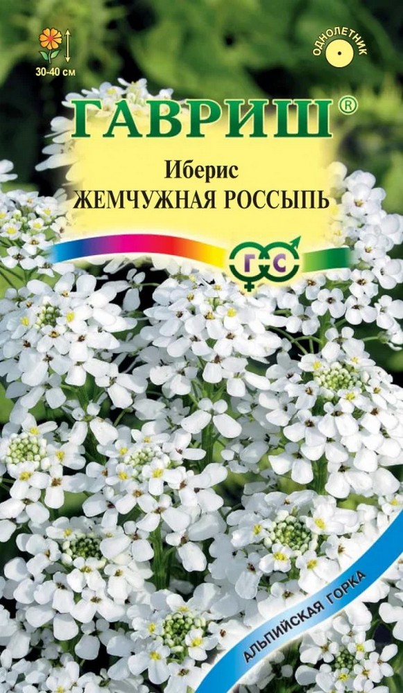 Иберис Жемчужная Россыпь, 0,1 г. Альпийская горка.