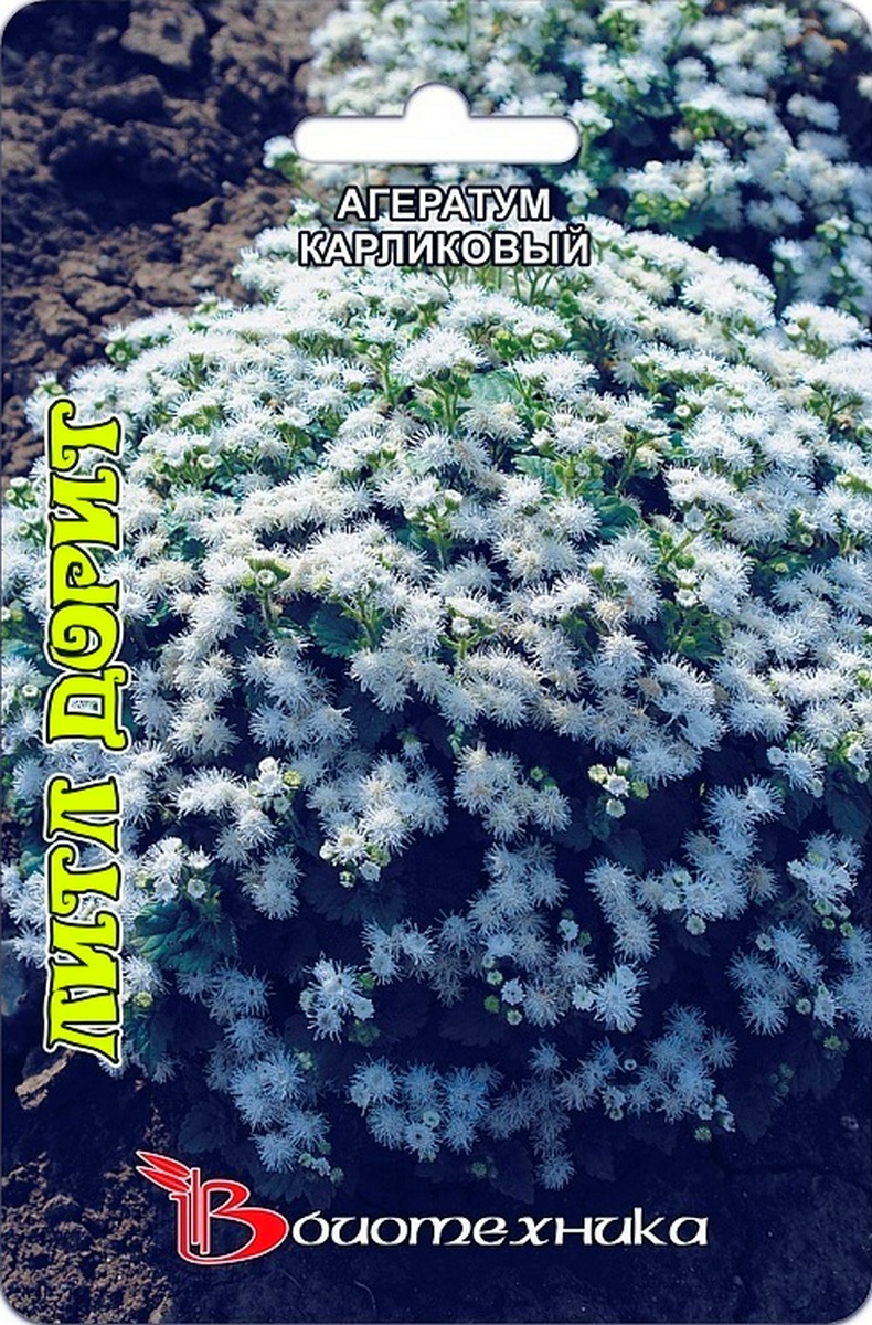 Агератум карликовый белый Литл Дорит, 300 шт. Биотехника
