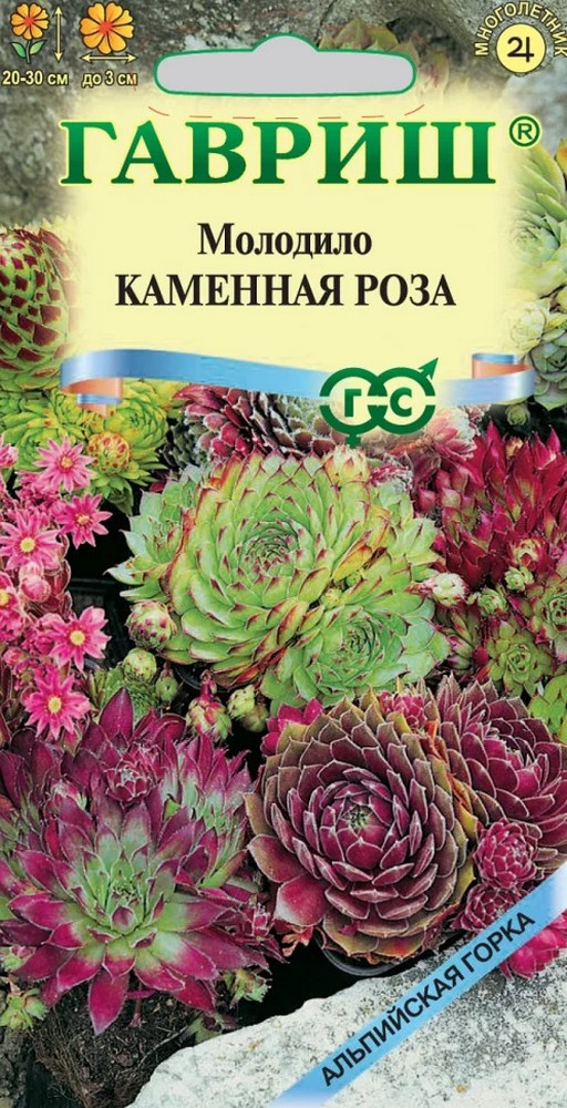 Молодило Каменная роза, 0,01 г. Альпийская горка