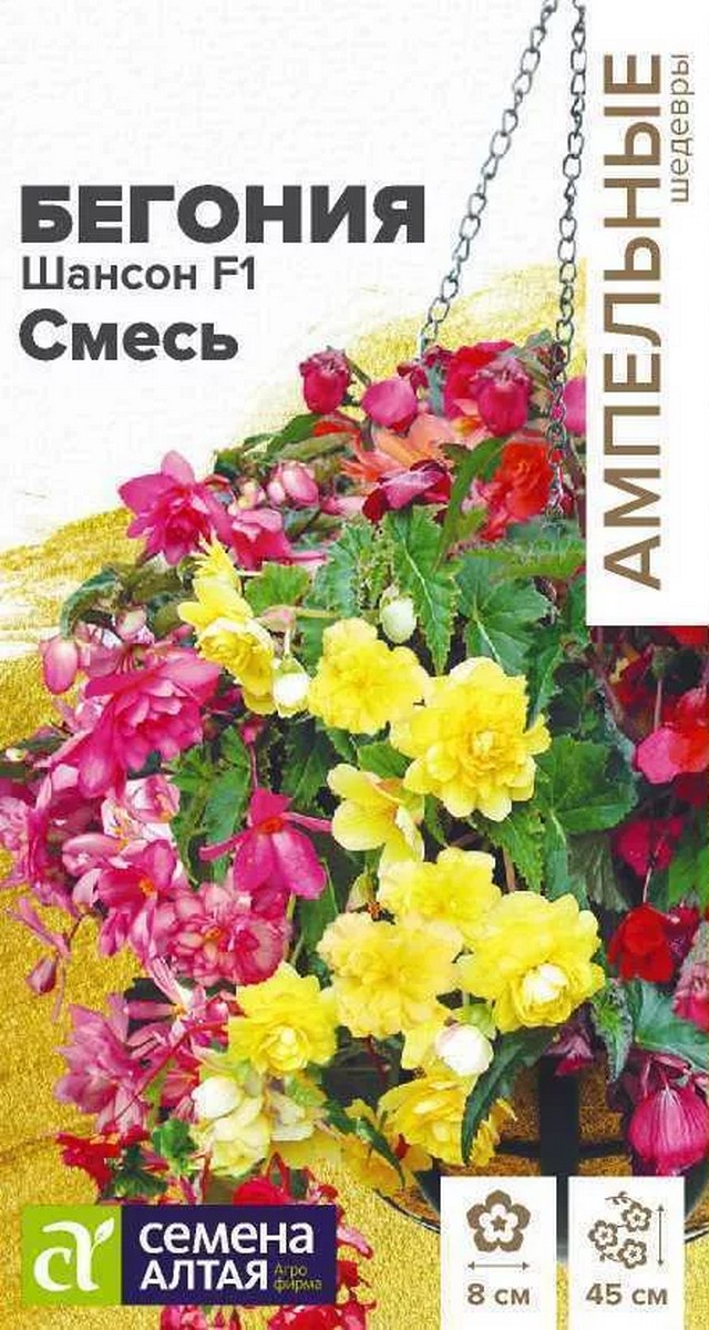 Бегония Шансон F1 Смесь, 5 шт. Ампельные шедевры