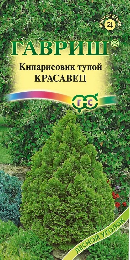 Кипарисовик тупой Красавец, 0,1 г. Лесной уголок.