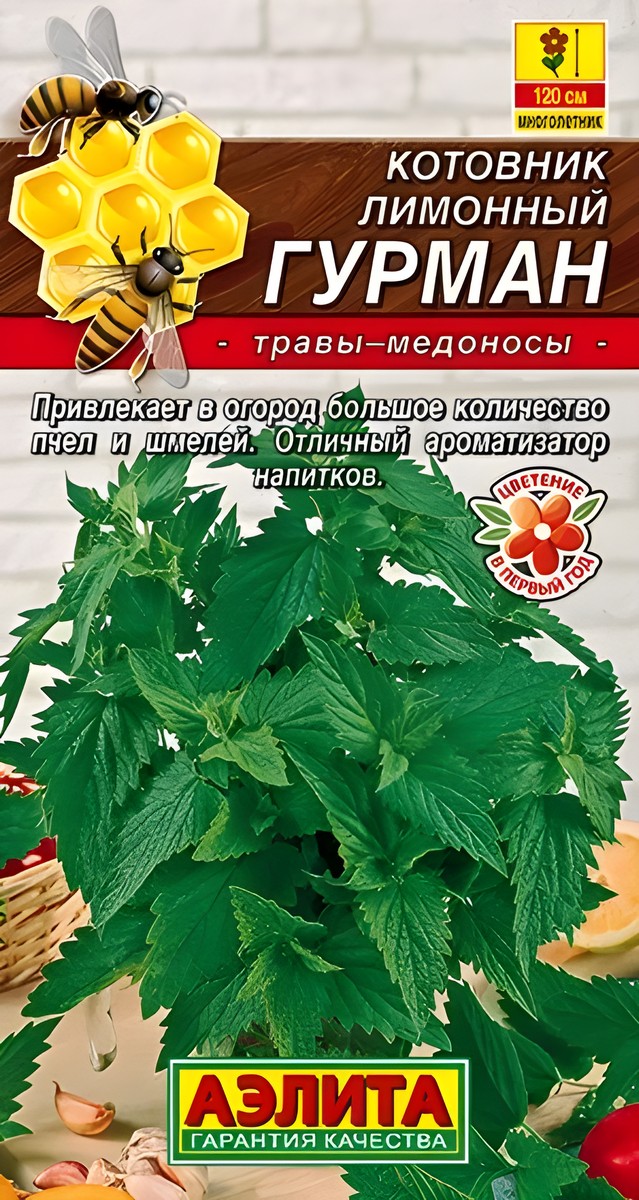 Котовник лимонный Гурман, 0,1 г