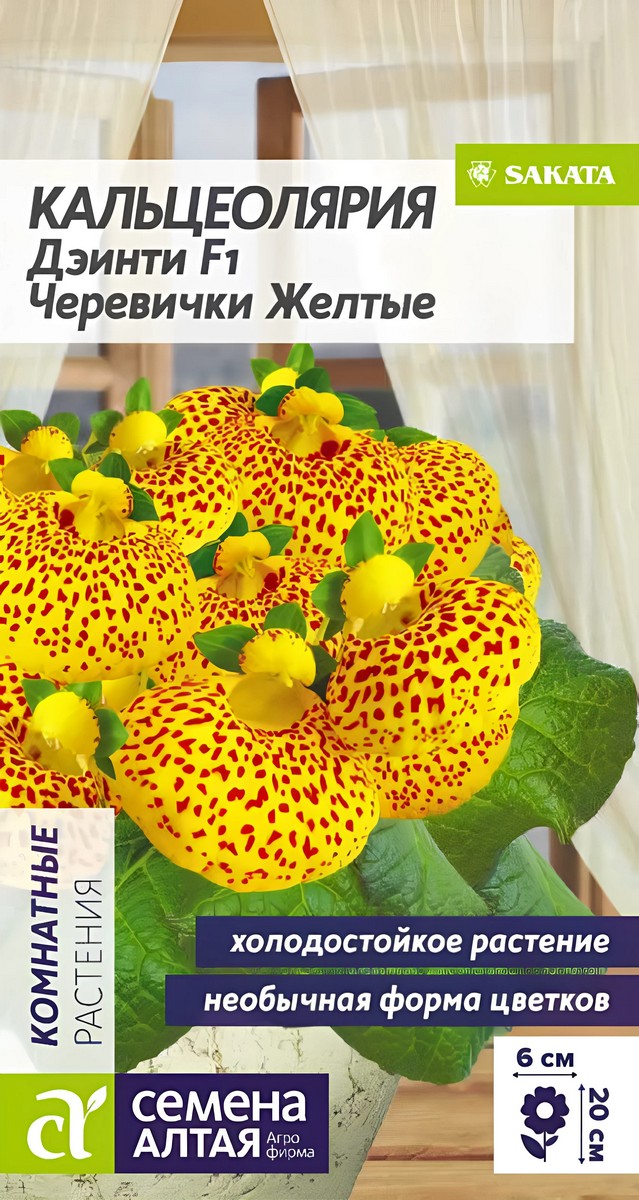 Кальцеолярия Дэинти F1 Черевички желтые, 3 шт.