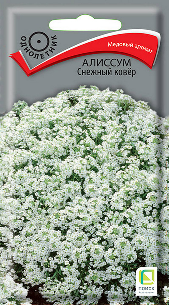 Алиссум Снежный ковёр, 0,3 г Поиск