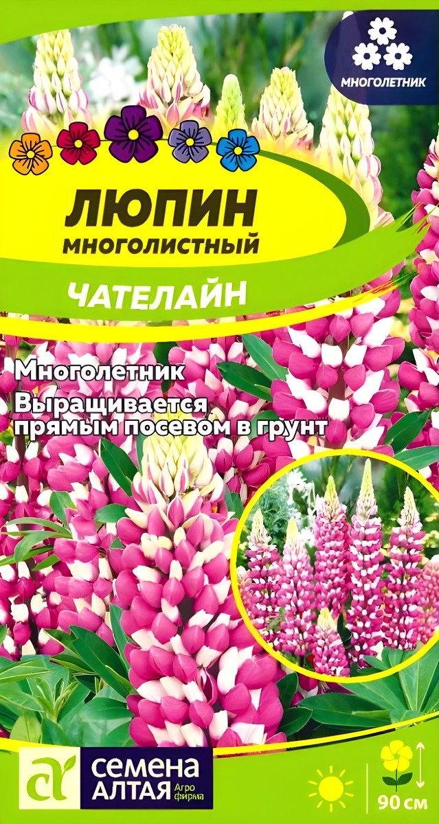 Люпин Чателайн, многолетник, 0,3 г 