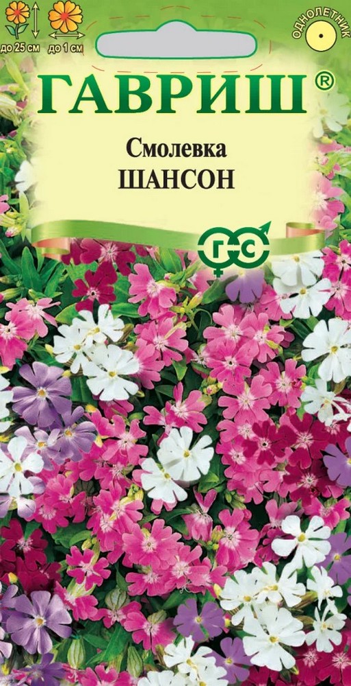 Смолевка повислая Шансон, 0,1 г