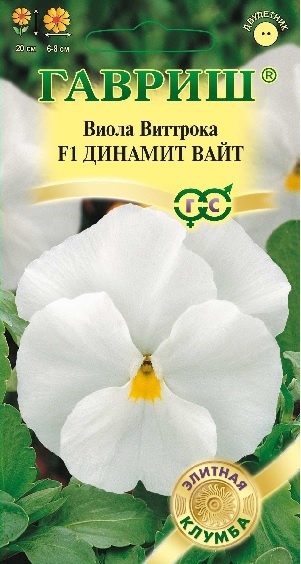 Виола Динамит Вайт F1 Виттрока, 5 шт. Элитная клумба.