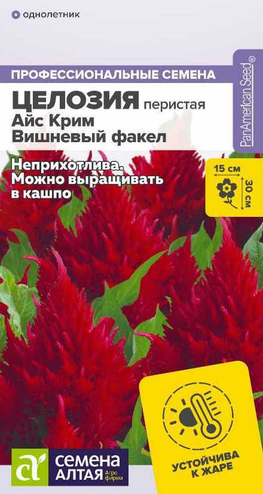 Целозия Айс Крим Вишневый факел перистая, 10 шт. 