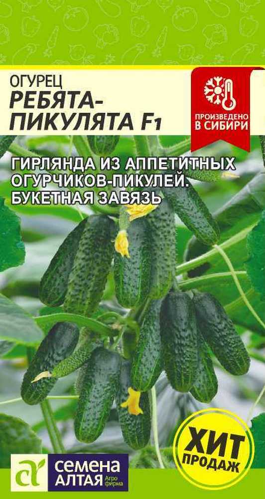 Огурец Ребята-Пикулята F1, 5 шт.
