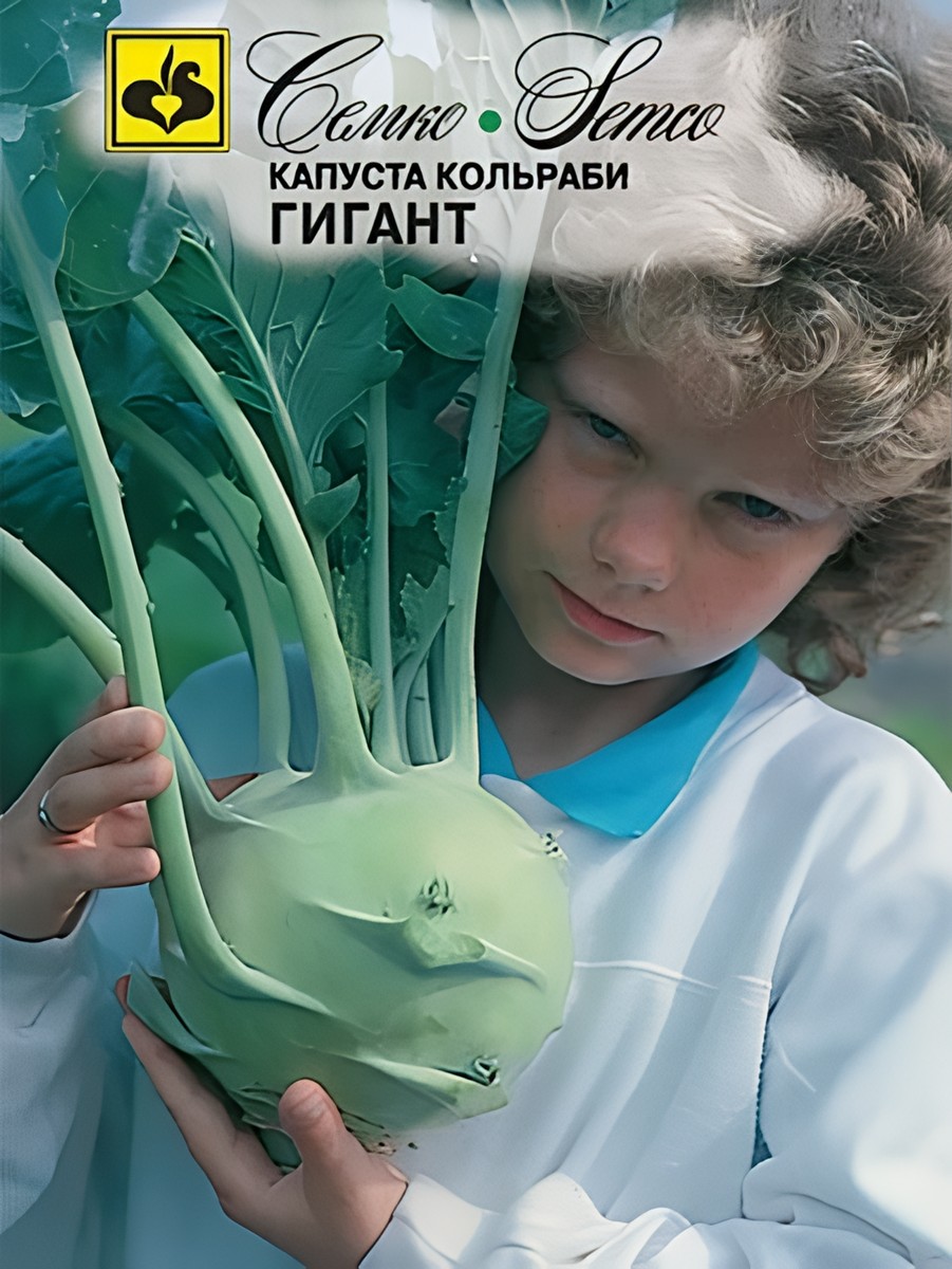 Капуста кольраби Гигант, 0,5 г. Семко.