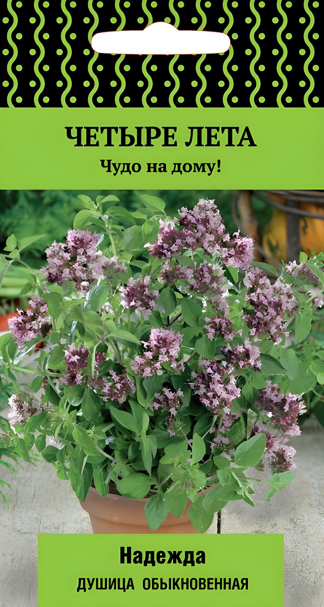 Душица Надежда, 20 шт. Четыре лета