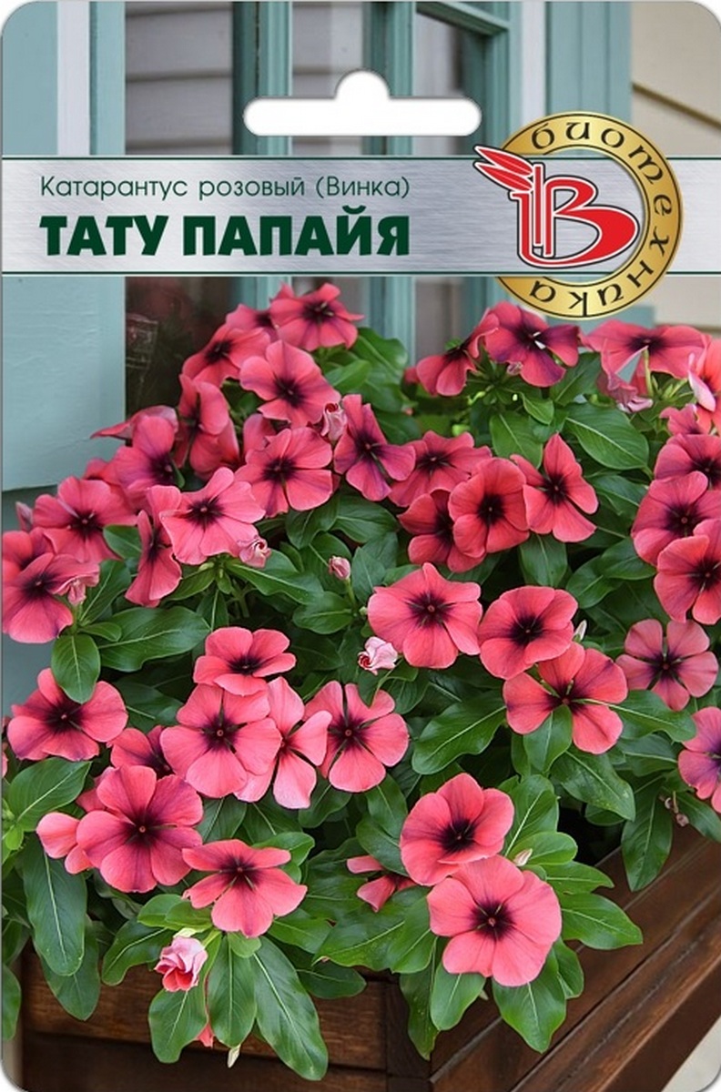 Катарантус розовый (Винка) Тату Папайя, 8 шт. Биотехника