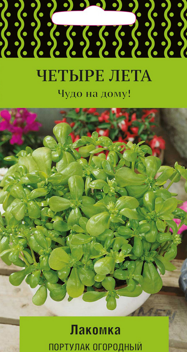 Портулак огородный Лакомка, 20 шт. Четыре лета.