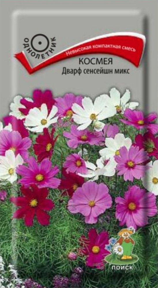Космея Дварф сенсейшн микс, 0,2 г