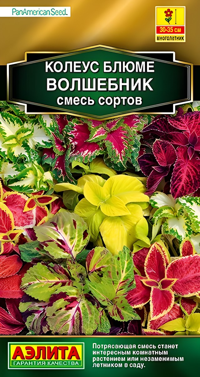 Колеус блюме Волшебник, смесь, 10 шт.