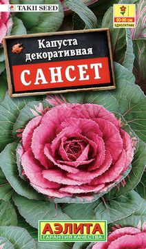 Капуста декоративная Сансет, 7 шт.