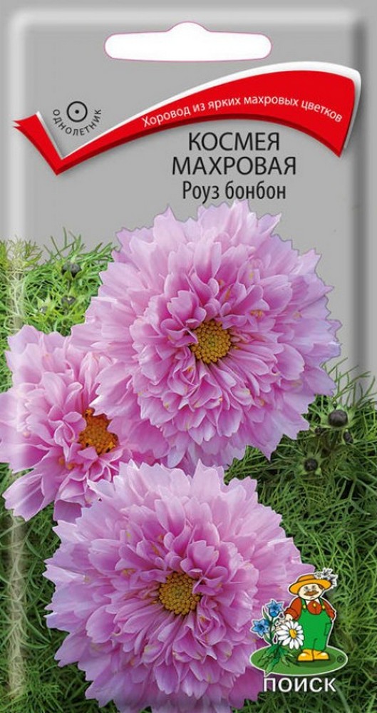 Космея махровая Роуз бонбон, 0,1 г
