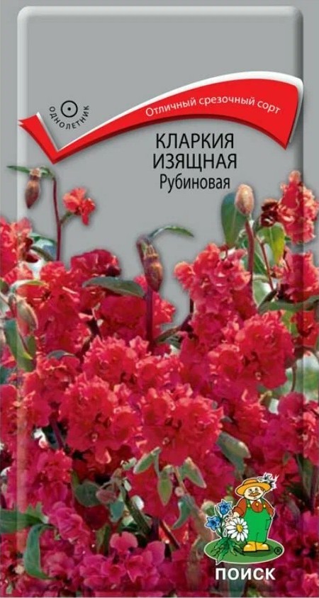Кларкия Изящная Рубиновая, 0,2 г
