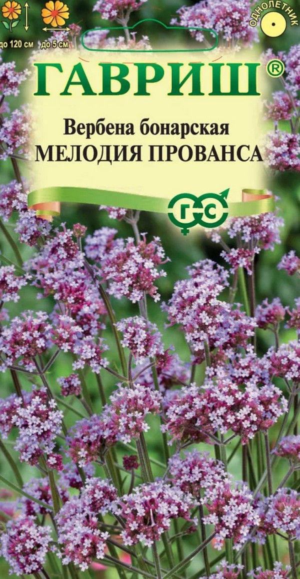 Вербена бонарская Мелодия Прованса 0,03 г Н23