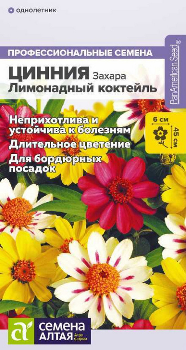 Цинния Захара Лимонадный коктейль, 5 шт. Профессиональные семена.