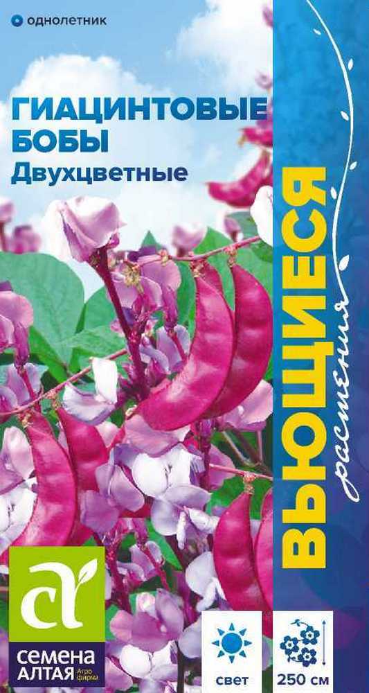 Гиацинтовые бобы Двухцветные, 1 г Вьющиеся растения 
