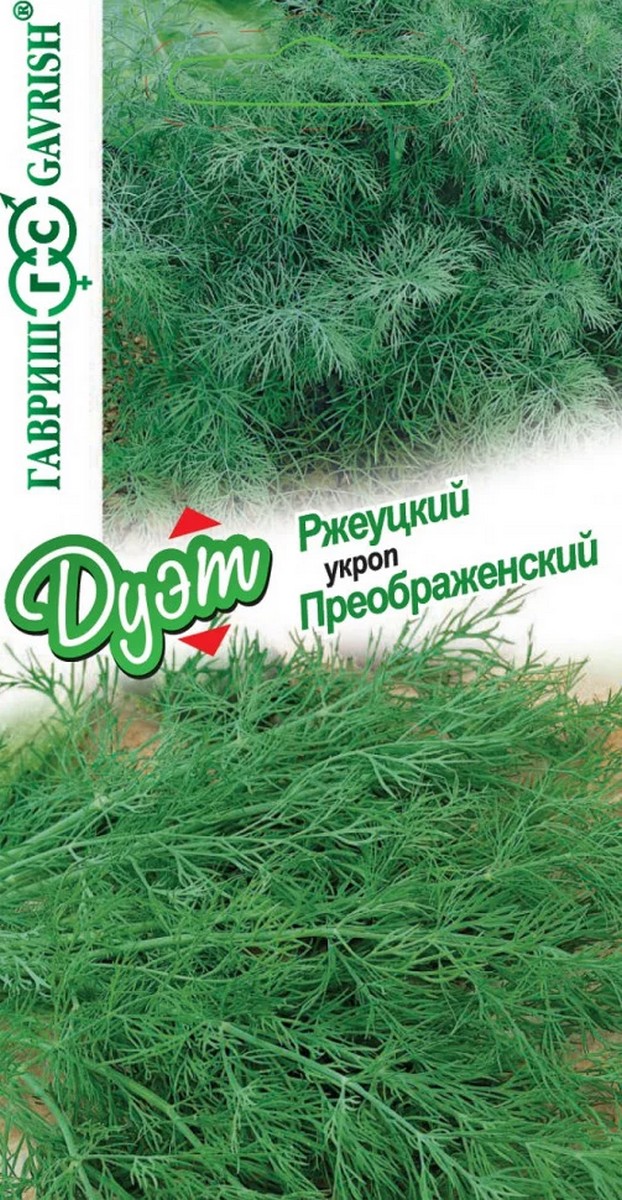 Укроп Преображенский, 2 г.+ укроп Ржеуцкий, 2 г. Дуэт.