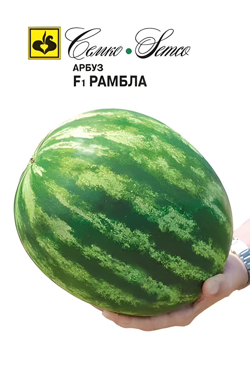 Арбуз Рамбла F1, 10 шт.