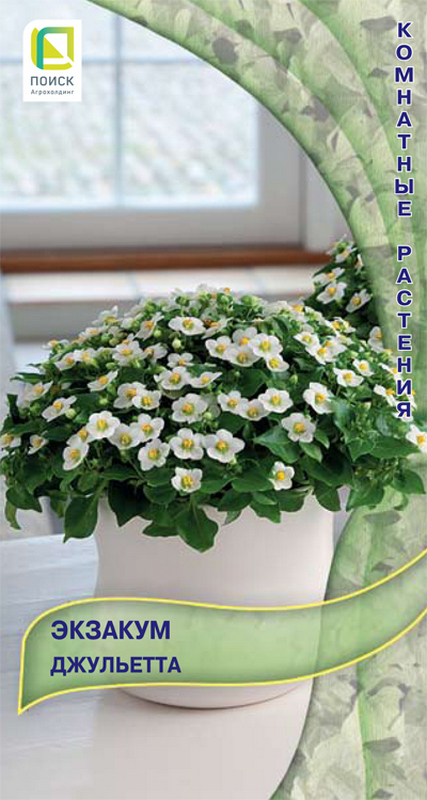 Экзакум Джульетта, 5 шт.