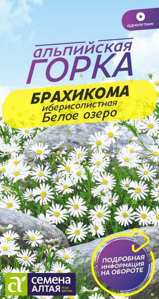 Брахикома Белое озеро, 0,05 г Альпийская горка