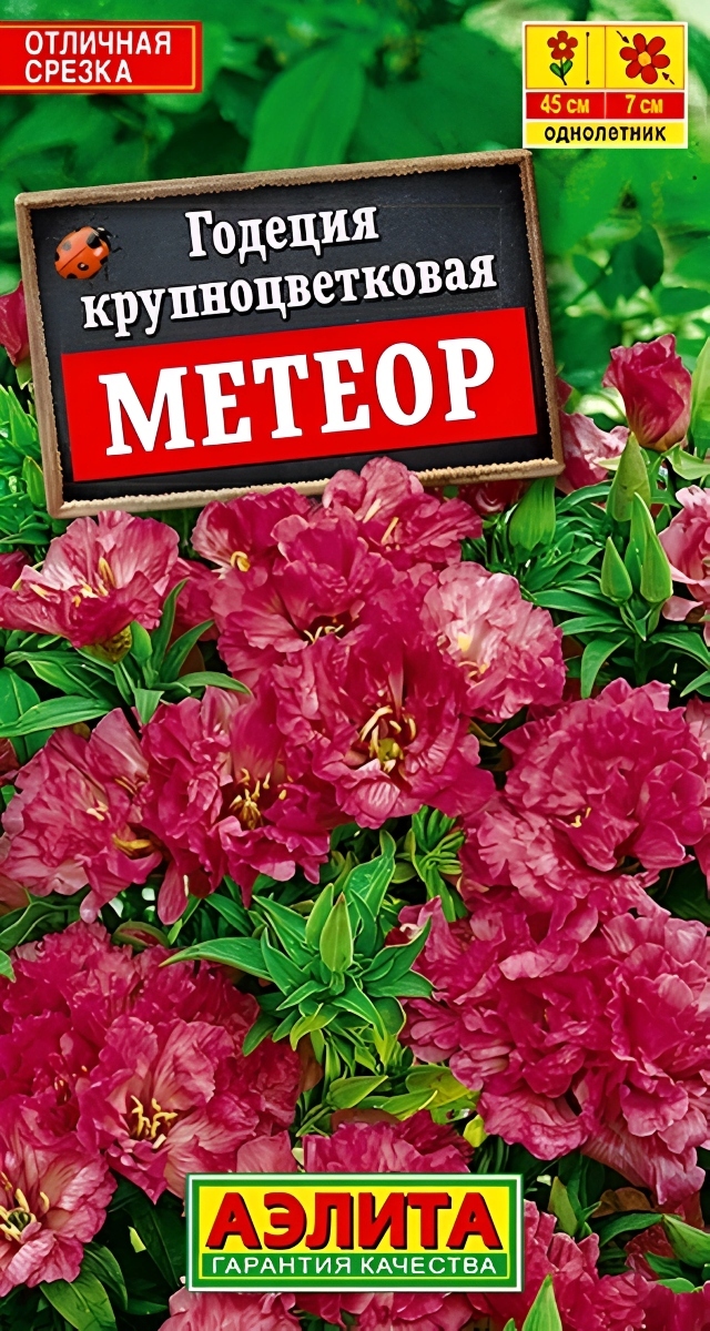 Годеция Метеор, крупноцветковая, 0,05 г