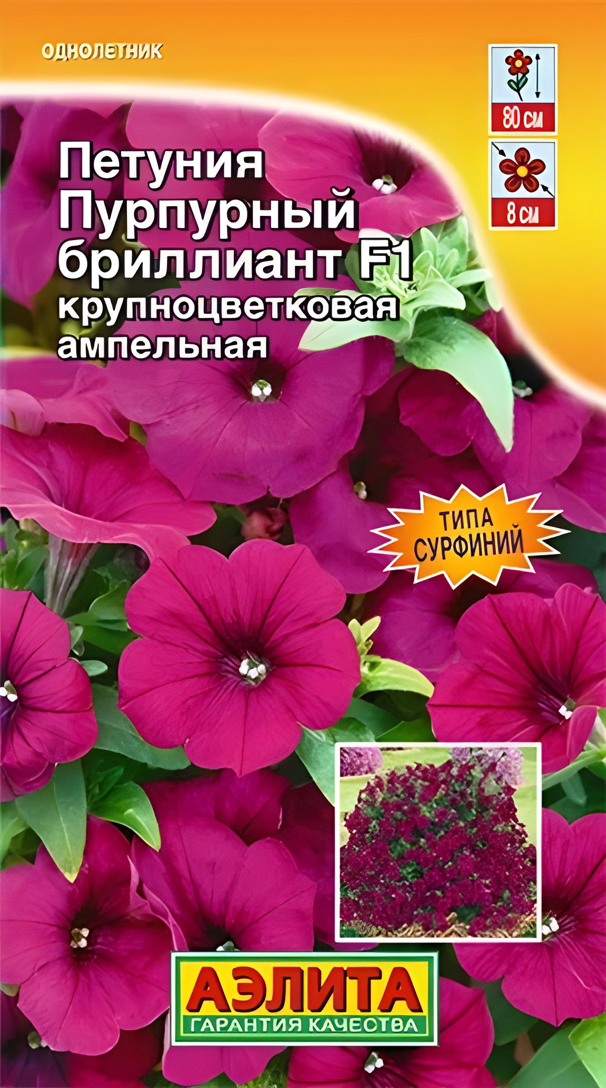 Петуния Пурпурный бриллиант F1 крупноцветковая ампельная, 5 шт. 